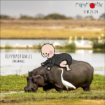MaM - Leg warmers, Hippopotamus - Afbeelding 3