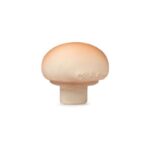 Oli & Carol - Natural rubber teether & bath toy, Manolo The Mushroom