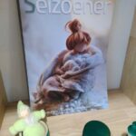 Seizoener - Tijdschrift voor de Waldorfwereld, Lente 2025